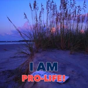 Meet your Posher, Sonja